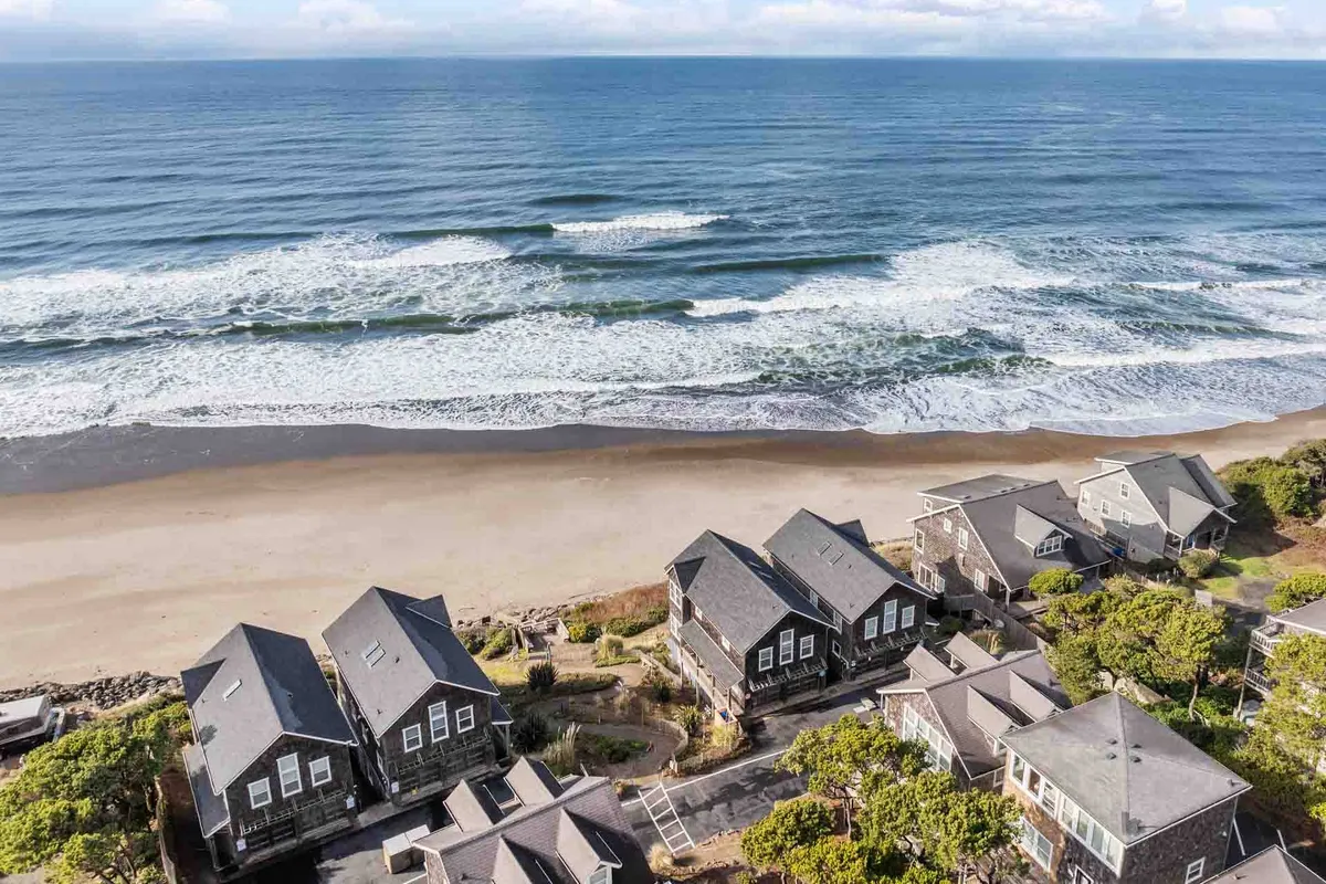 A broad, sunlit stretch of sandy beach lined with green foliage and bordered by coastal homes. The ocean waves and open space underscore the freedom and enjoyment available to both pets and owners.